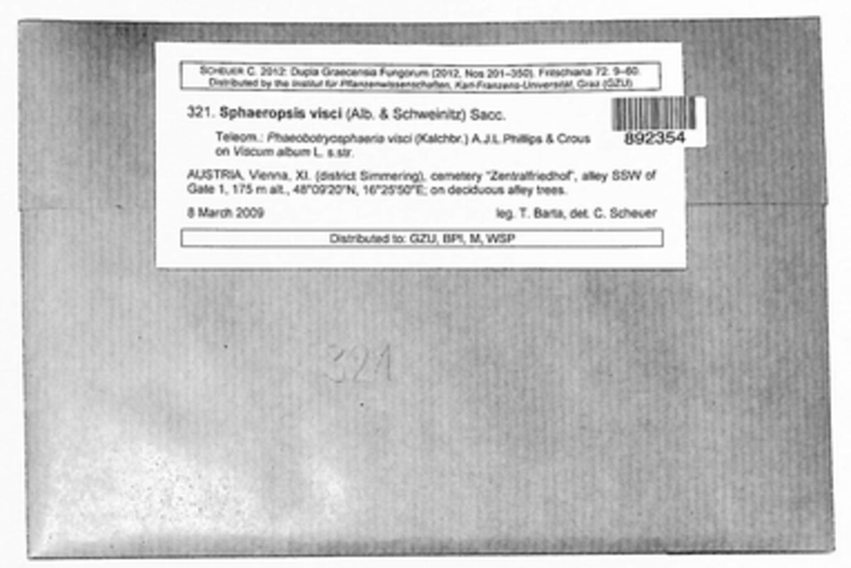 Botryosphaeria visci image